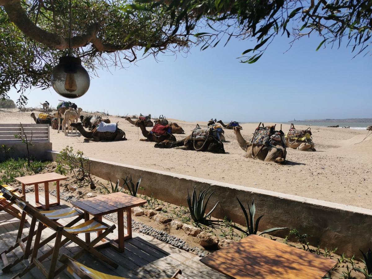 Maison Mimosa, Lovely 3 Bedroom Villa With A Large Pool Essaouira Extérieur photo